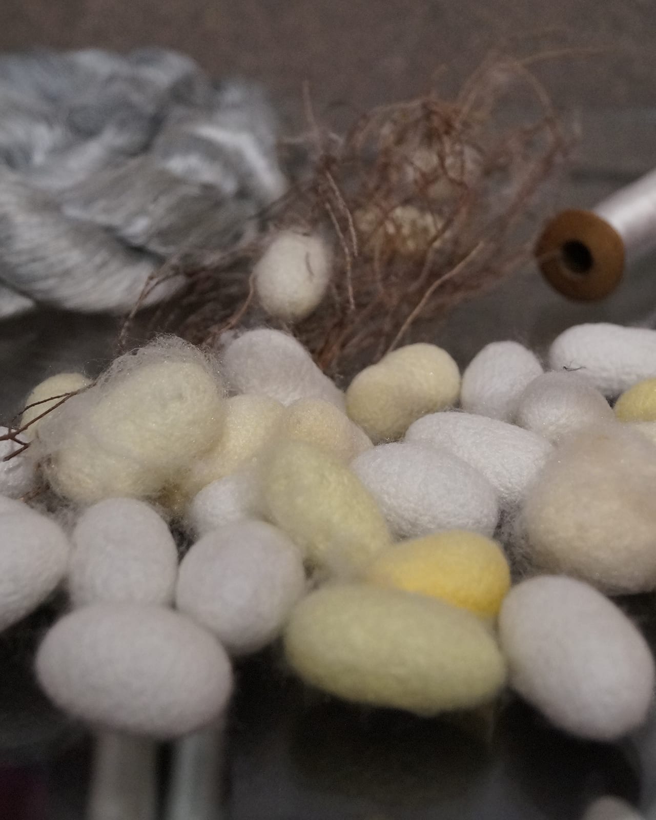 Silk cocoons, white and pale yellow, lying together