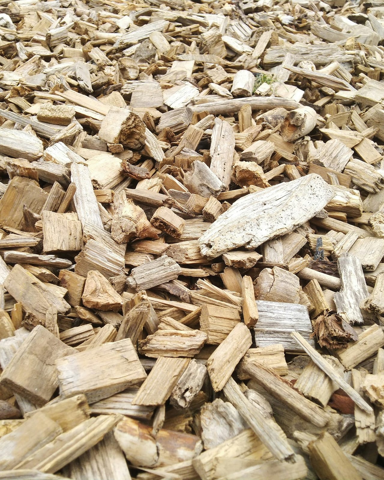 A pile of pale wood chips, the raw material of regenerated fibres
